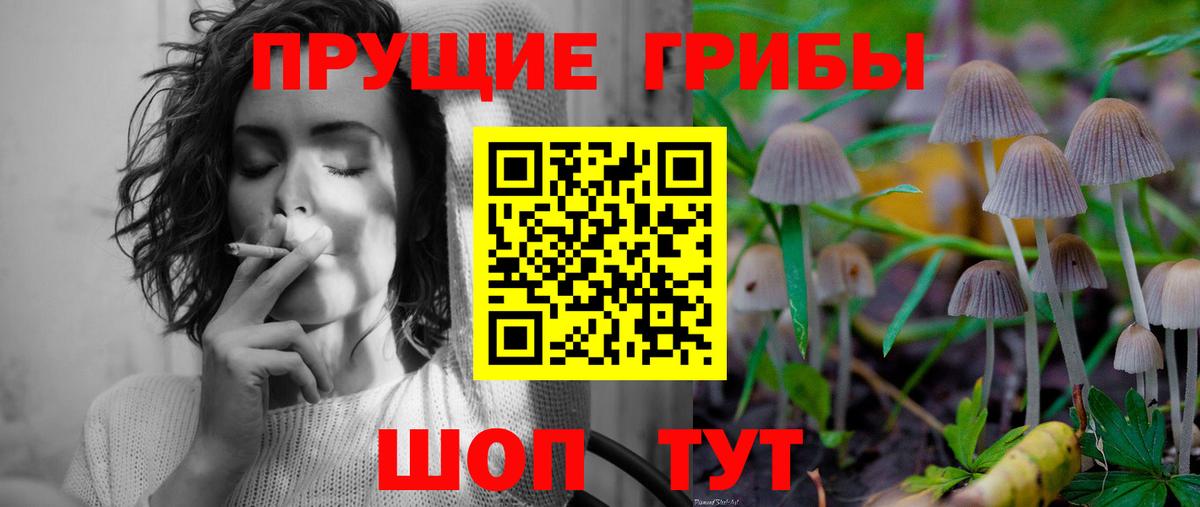 Новозыбков  Псилоцибиновые грибы мицелий  Вход с VPN 