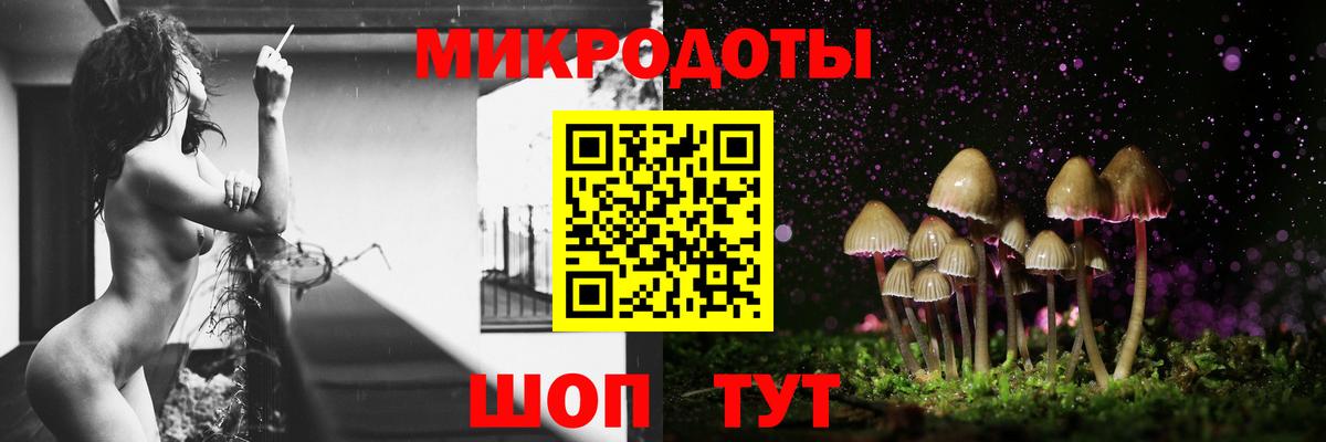 Псилоцибиновые грибы Cubensis Новозыбков